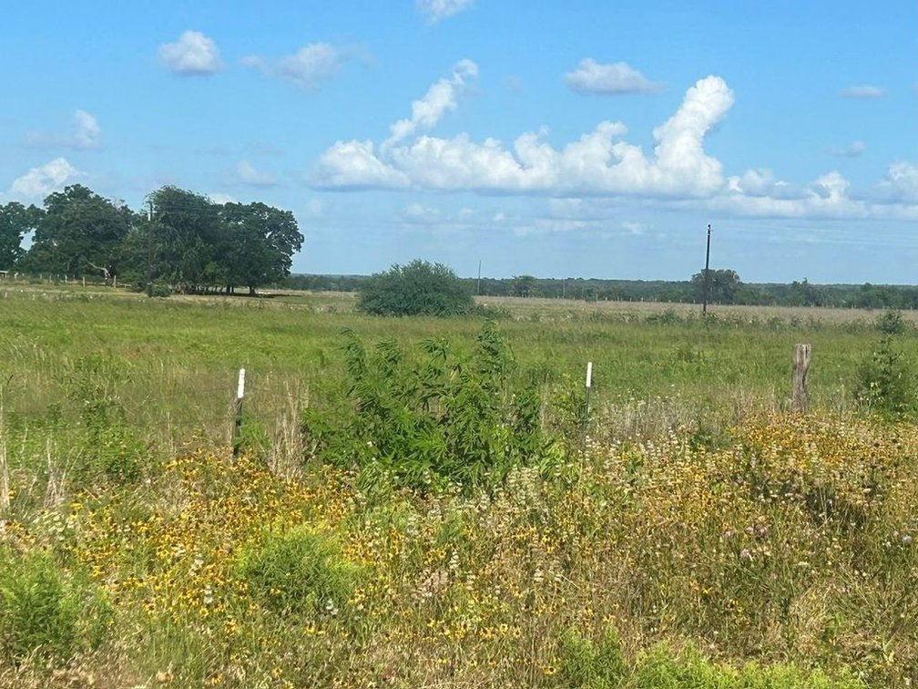 Image for 10+ Acres - Dime Box, Texas