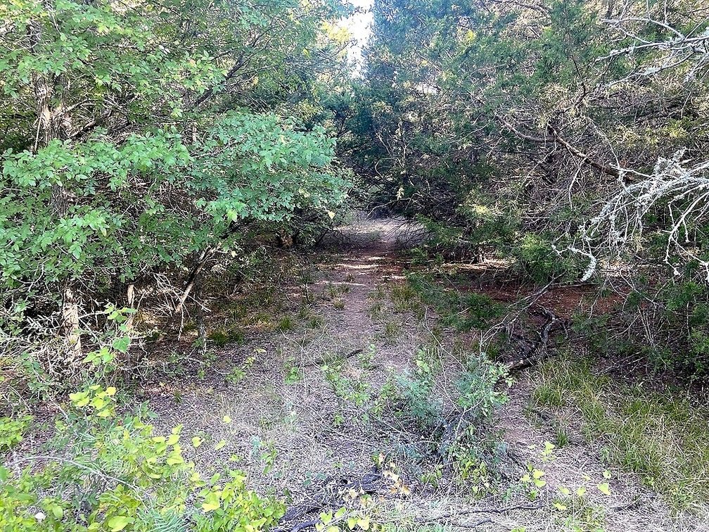 Image for 21 +- Acres, Grassyville, Paige, TX