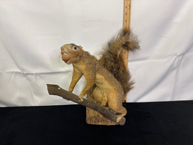 Online Only Auction