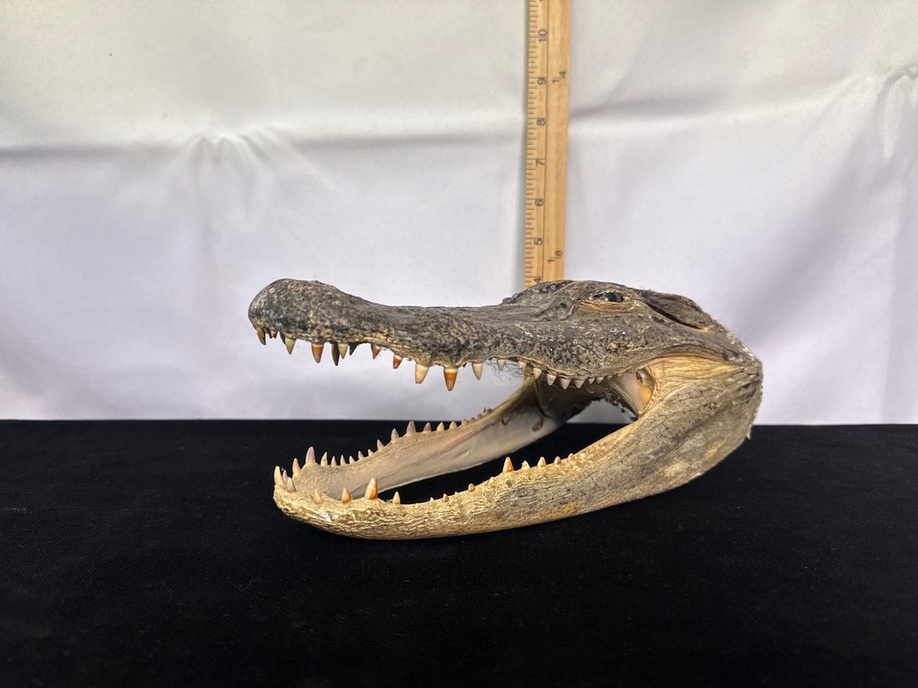 Image for Online Only Auction