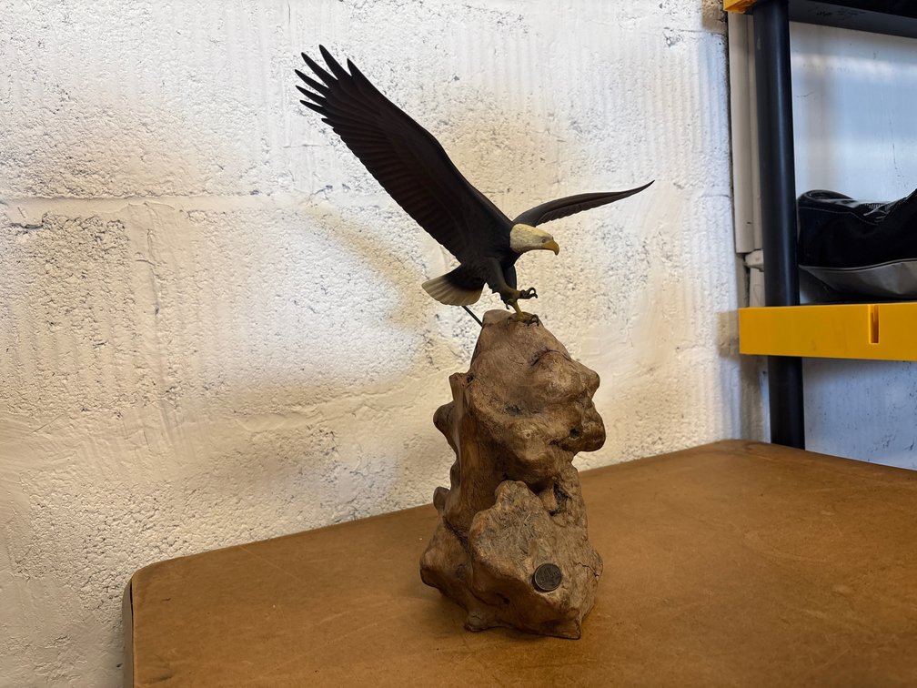 John Perry Bald Eagle w/Burl Wood Base