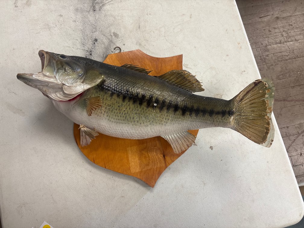 Image for Multiple Estate Auction