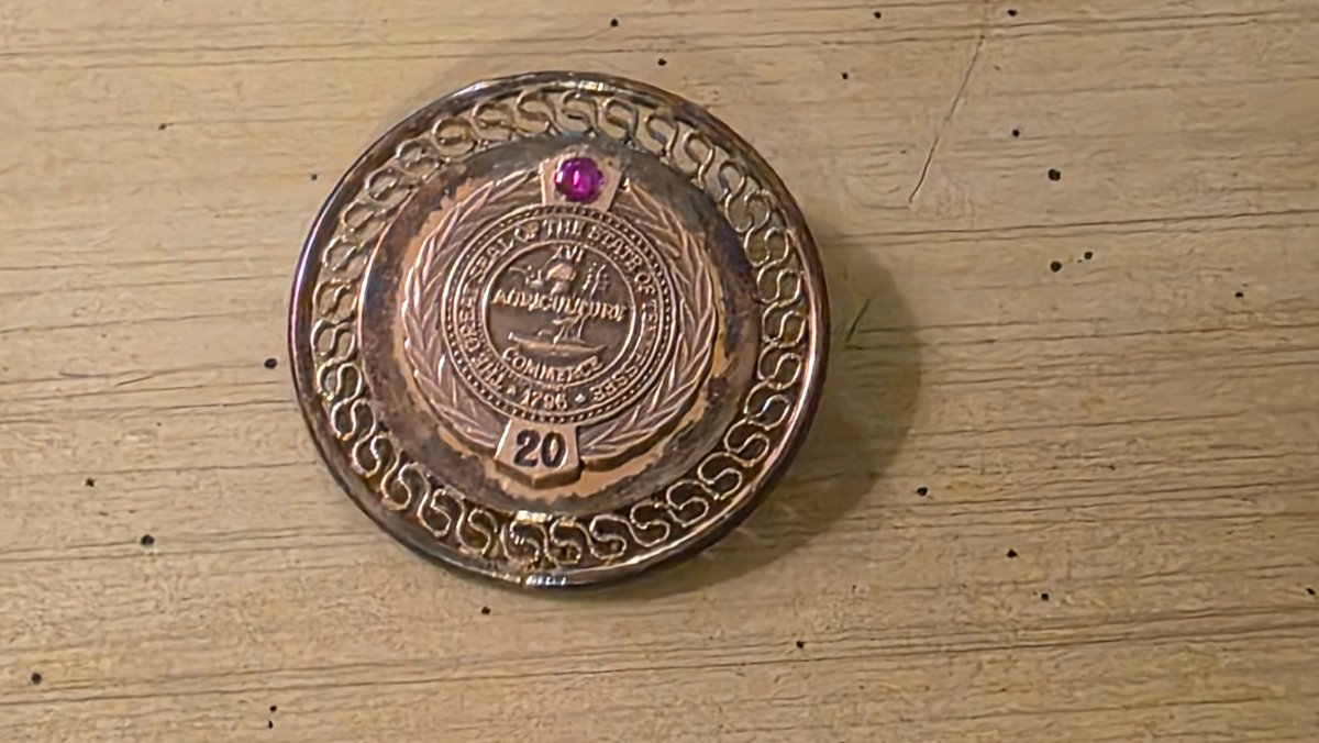 1/20th 12k GF TN State Seal Agriculture Commerce 20 Year Pin