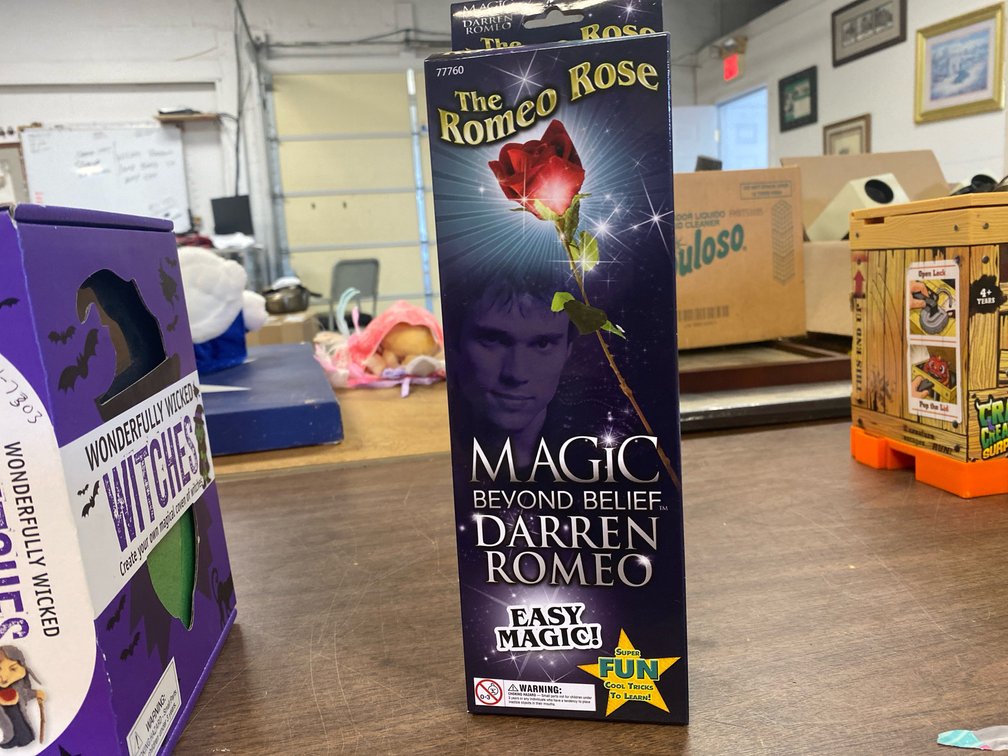 The Romeo Rose