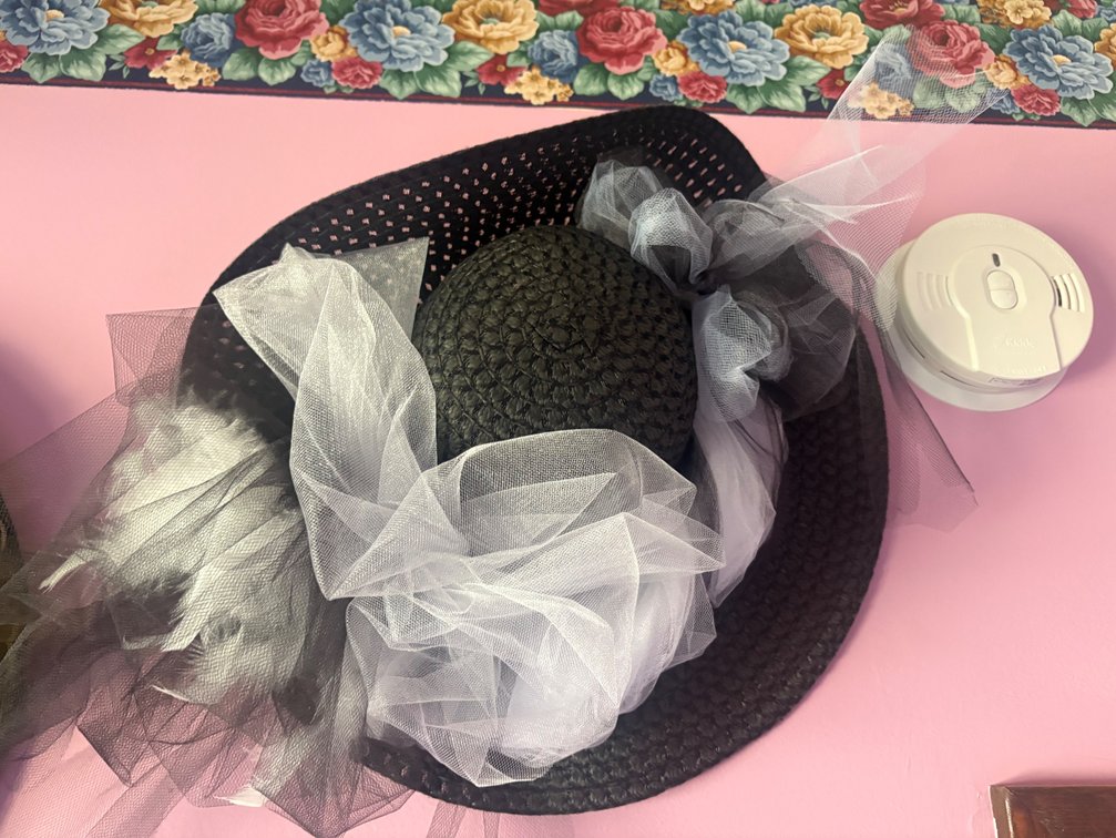 Black Wide-Brim Hat w/Tulle Netting & Feathers