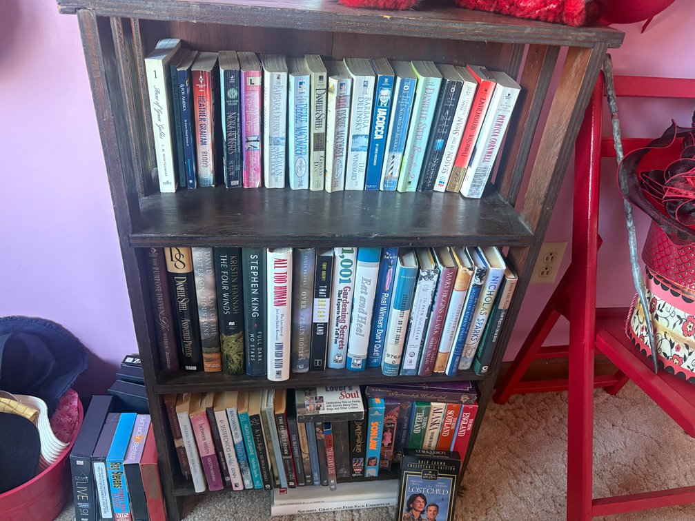 Bookshelf with Books