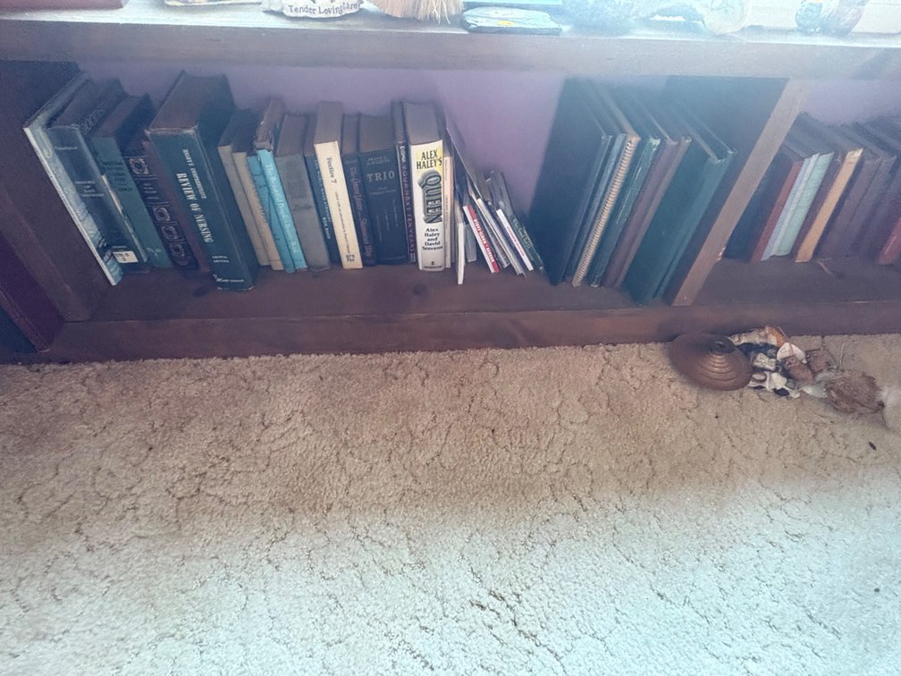 Misc. Books