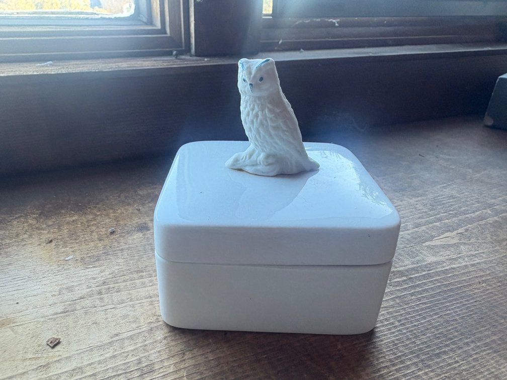 Owl Trinket Box