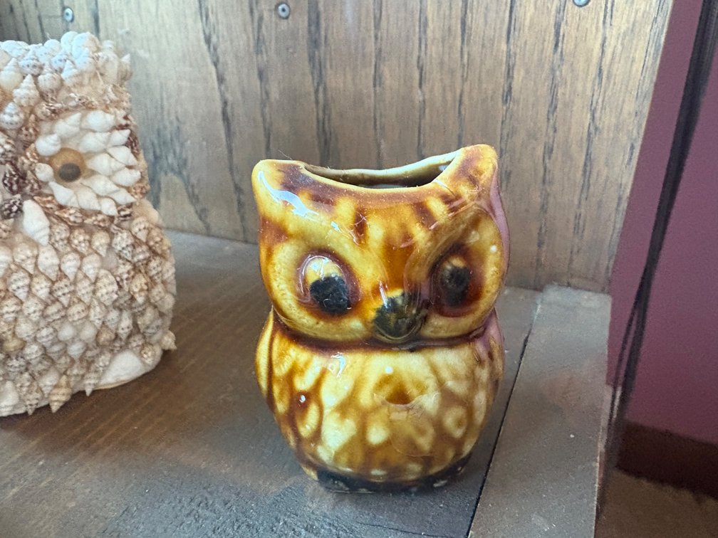 Ceramic Owl Toothpick Holder