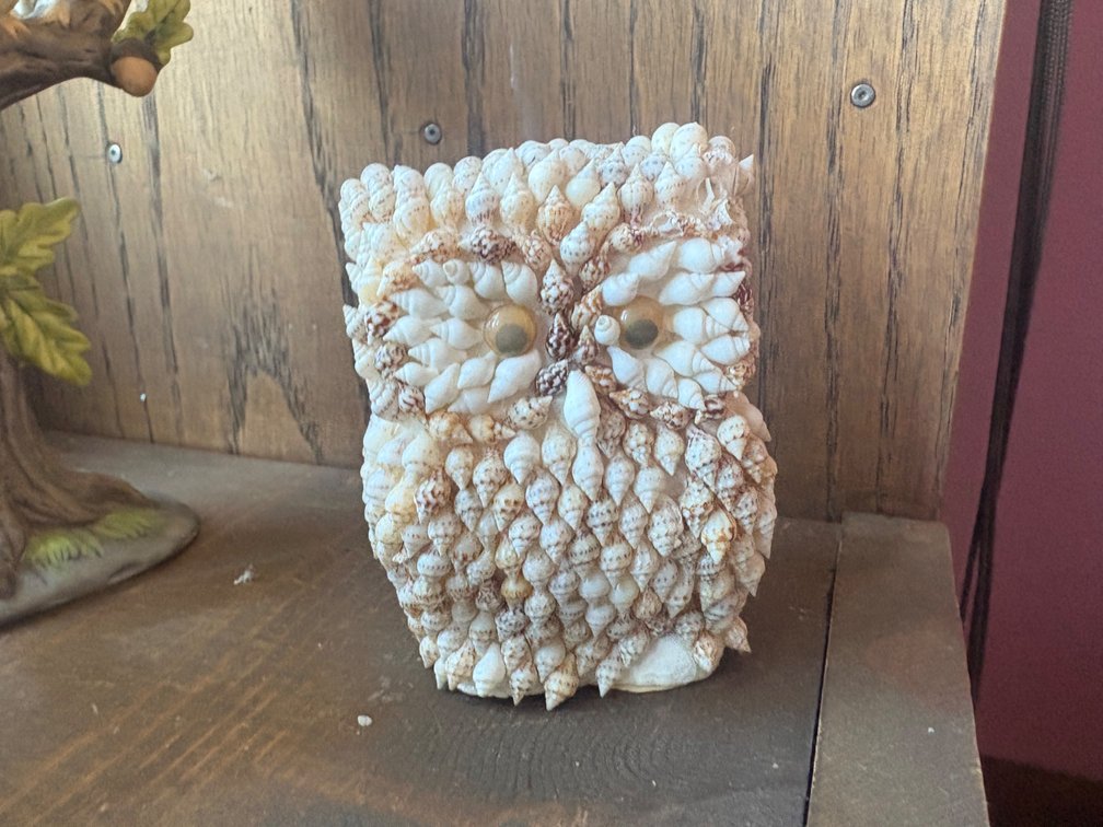 Short Seashell Owl Figurine