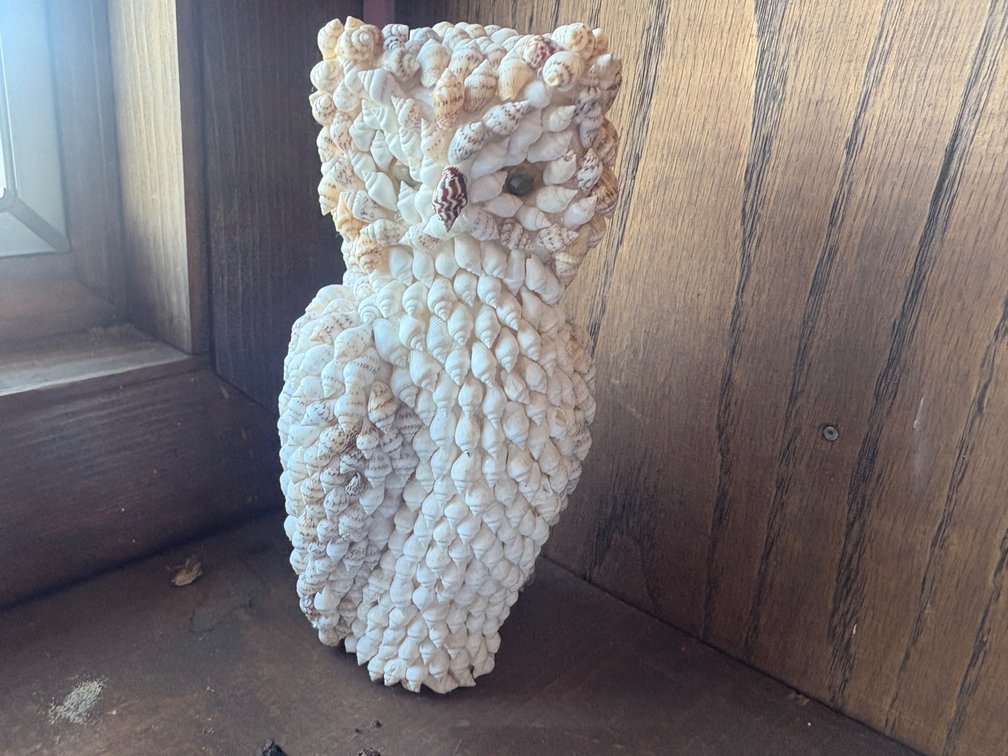 Tall Seashell Owl Figurine