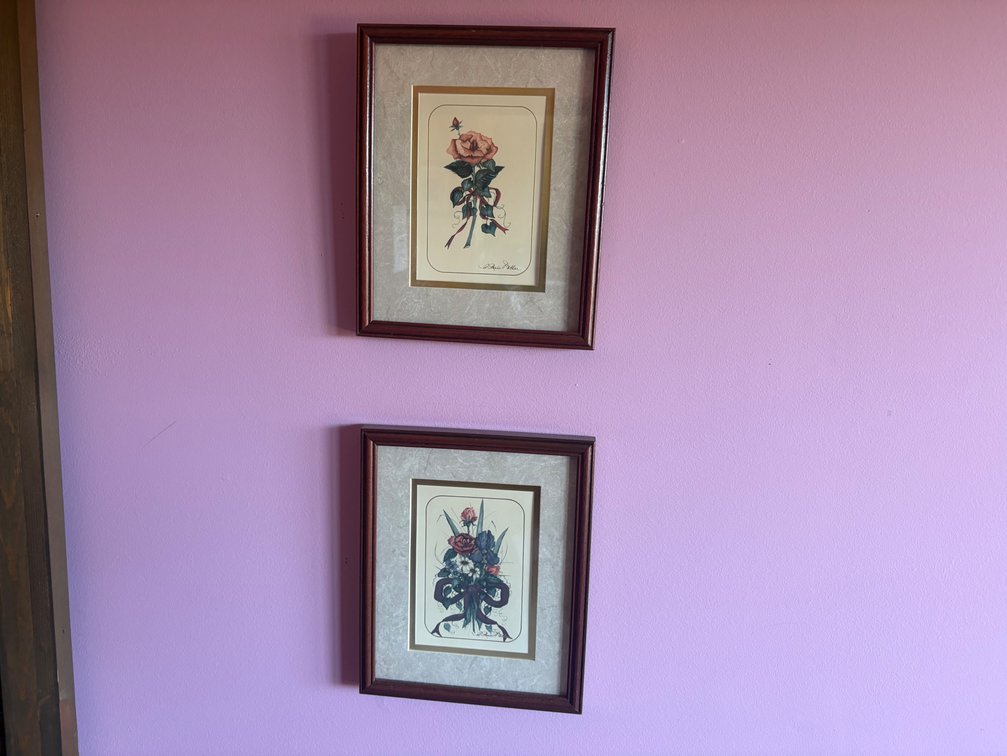 Floral Framed Prints