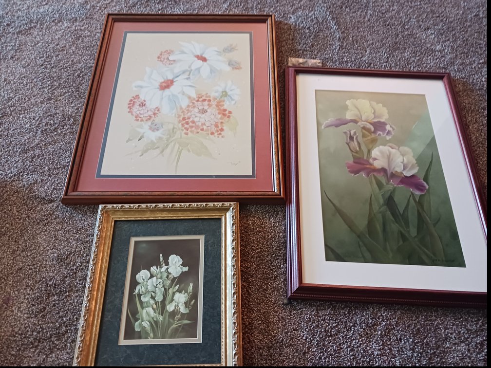 Floral Framed Prints