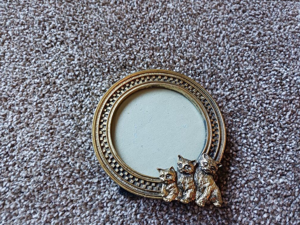 Round Metal 3D Kittens Picture Frame