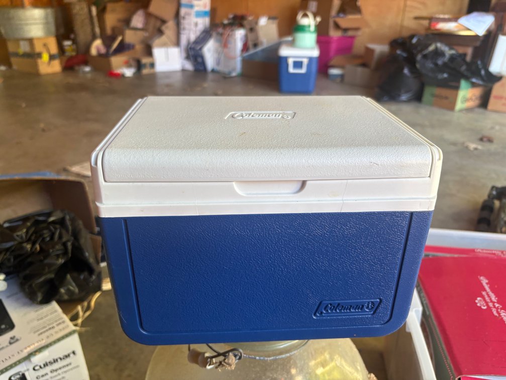 Coleman Personal Cooler