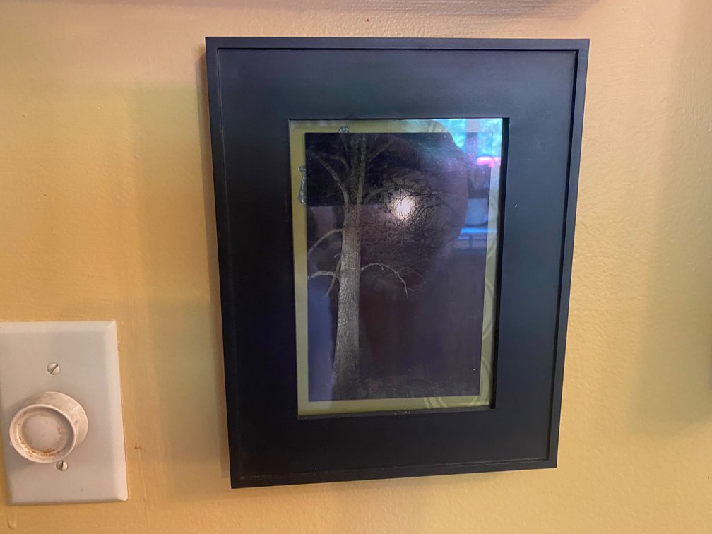 Full Moon & Bare Tree Framed Artwork