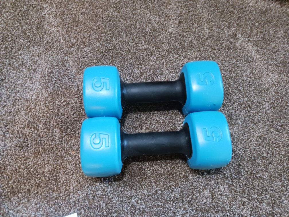 5lb Dumbbells