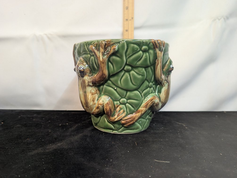 Really Nice Frog Planter
