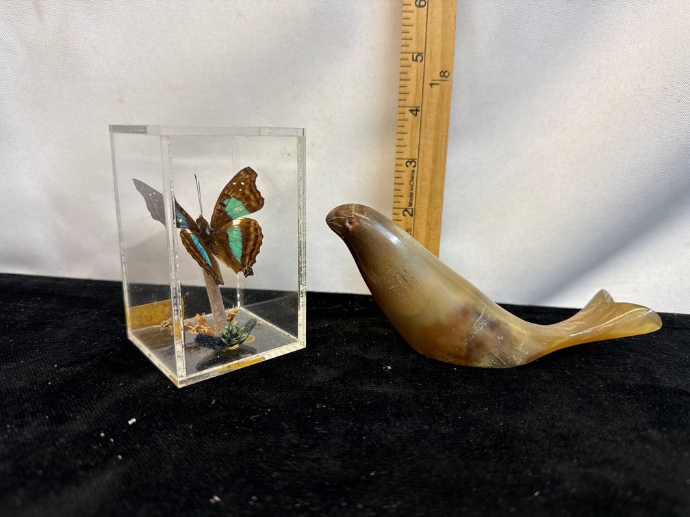 Seal Made from Horn and Butterfly In Box