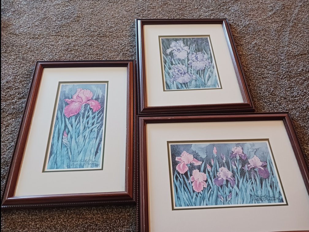 1990s Iris Watercolor Framed Prints
