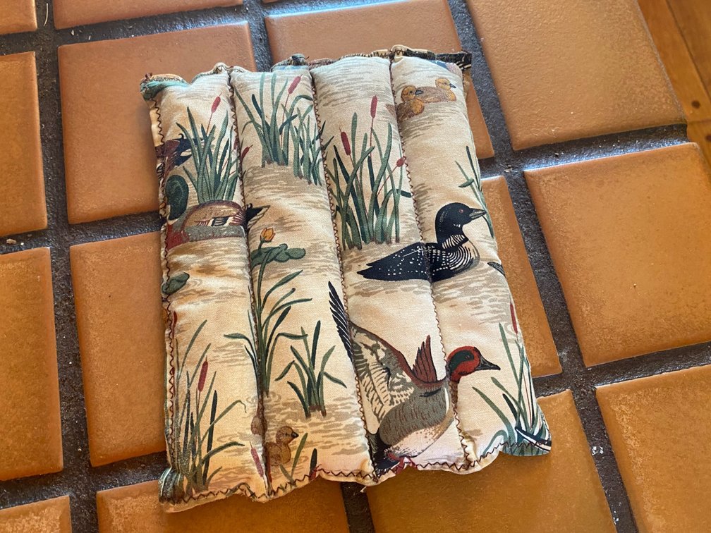 Duck Hot Pad
