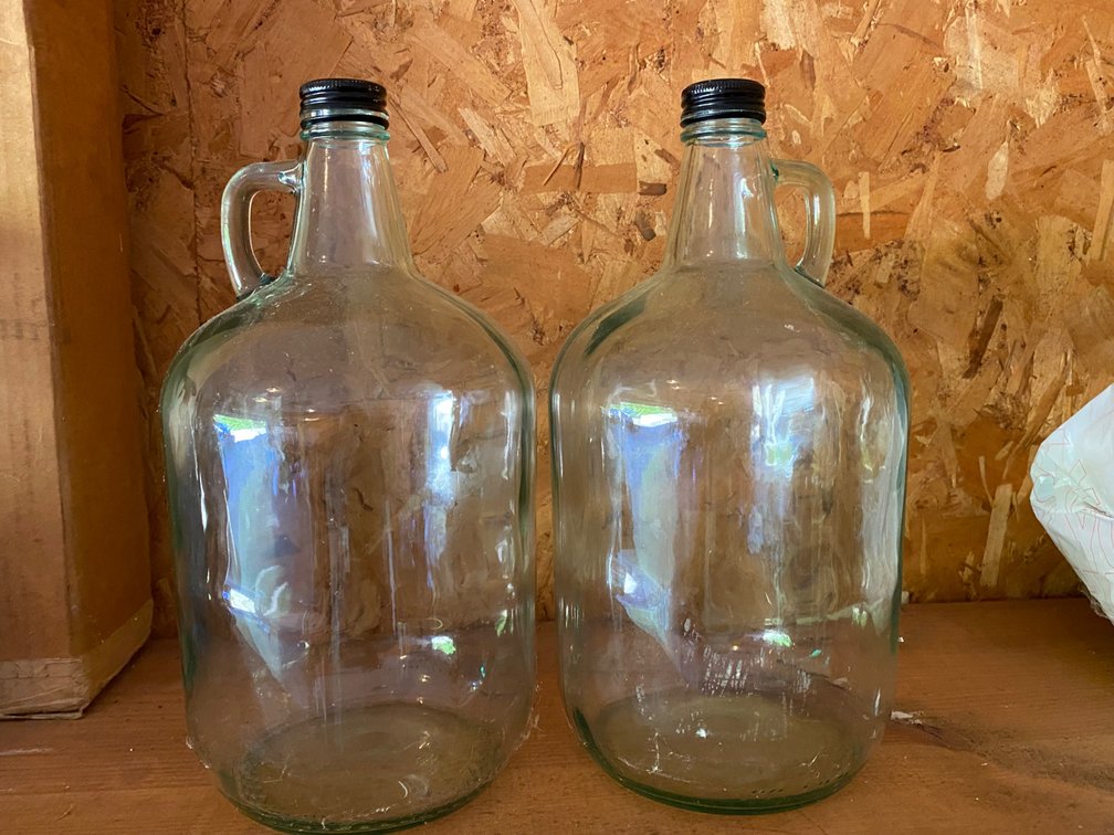 1-Gallon Clear Glass Jugs