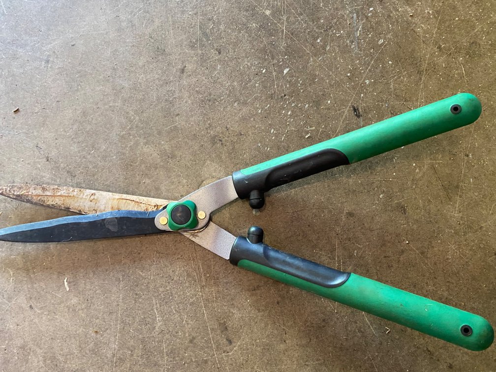 Hedge Shears