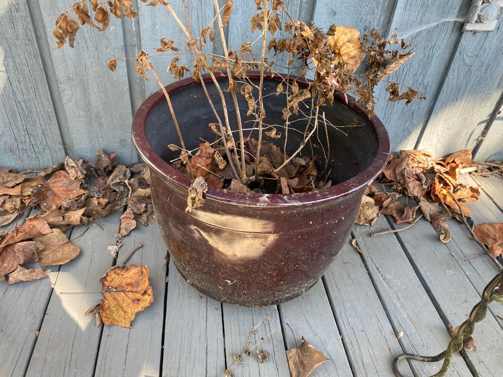 Planter