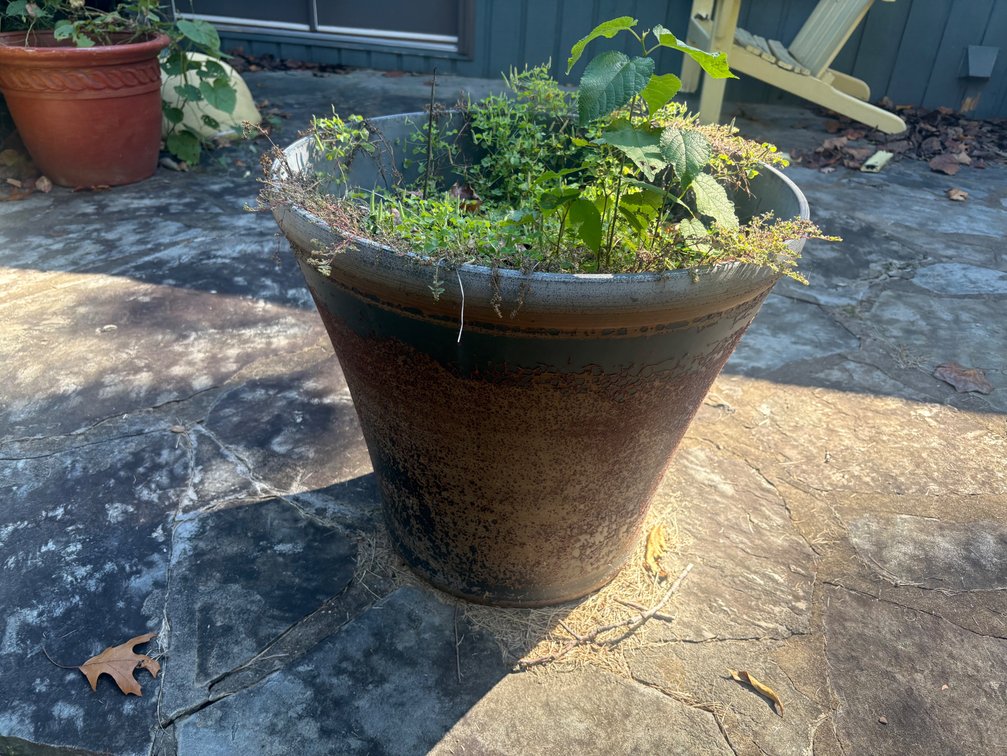 Planter