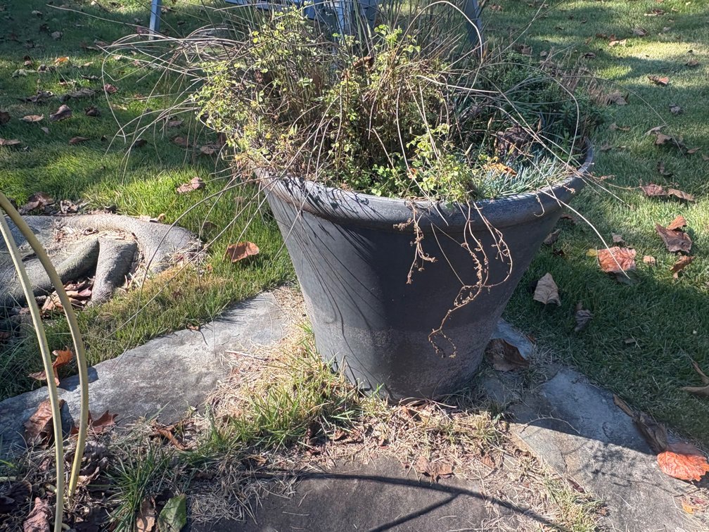 Planter