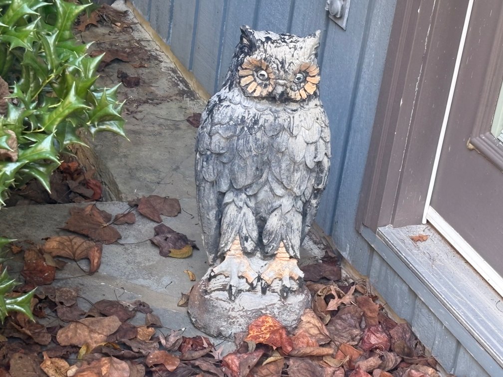 Owl Statue