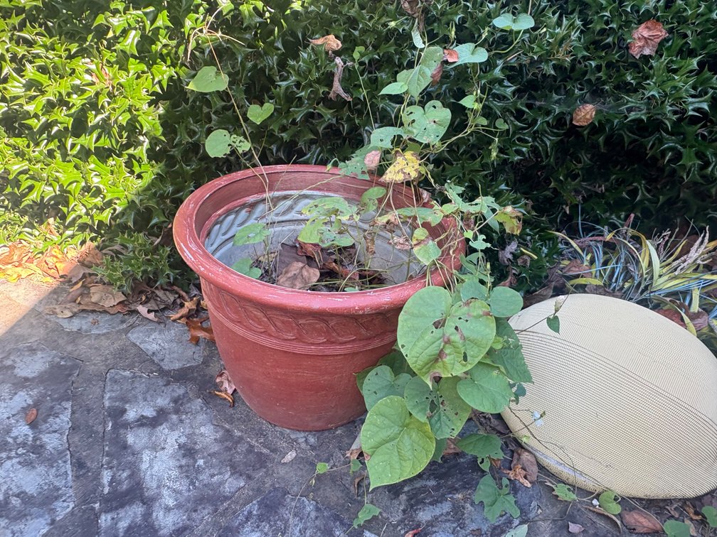 Planter