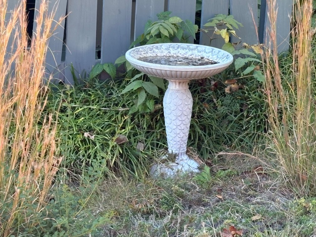 Birdbath