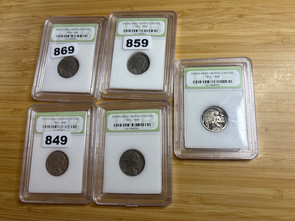 5 Slabbed Buffalo Nickels