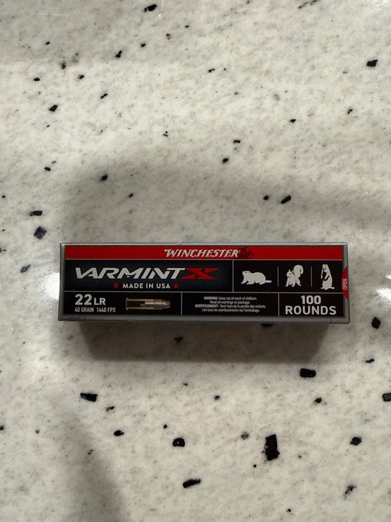 22LR Ammo