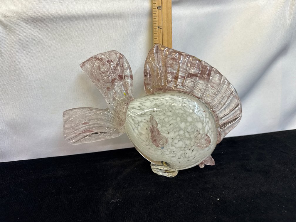 Glass Fish