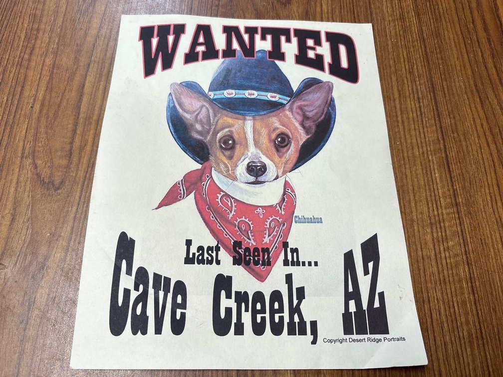 "Wanted" Chihuahua Poster