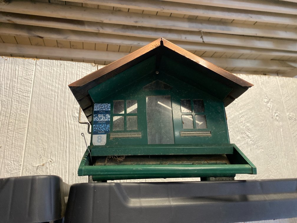 Metal Bird Feeder