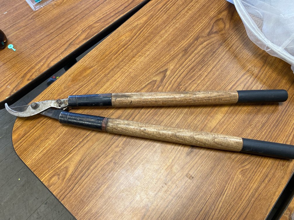 Anvil Loppers