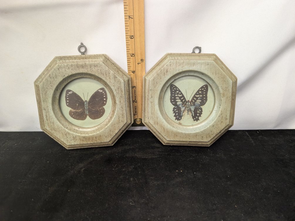 Butterflies Hanging Wall Decor