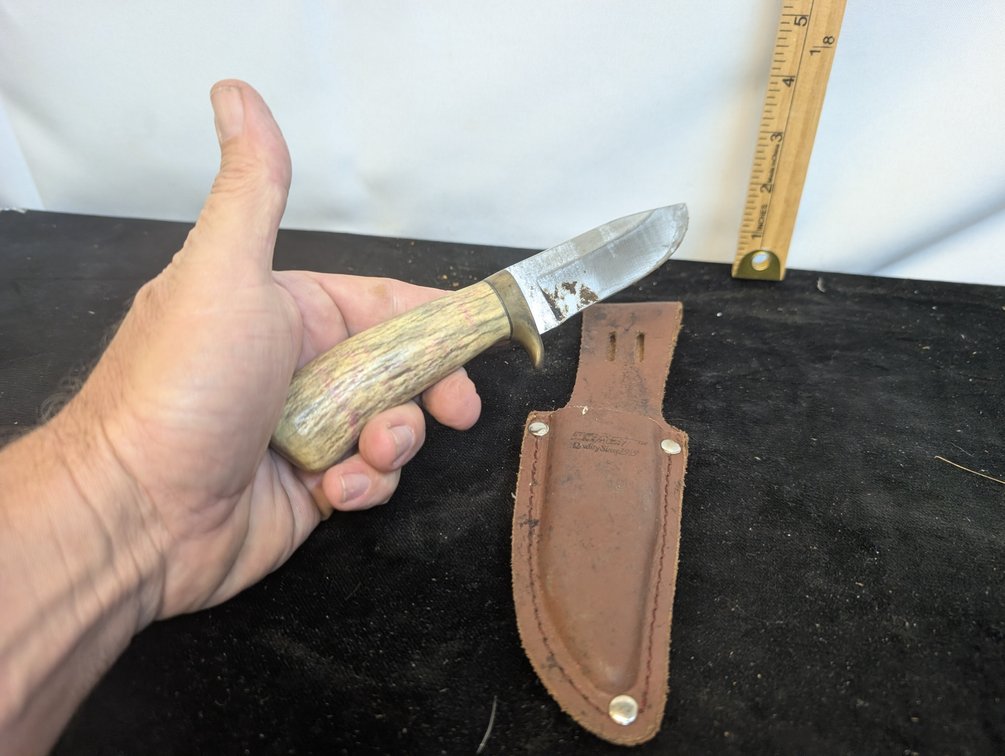 Stag Handle Skinner Knife