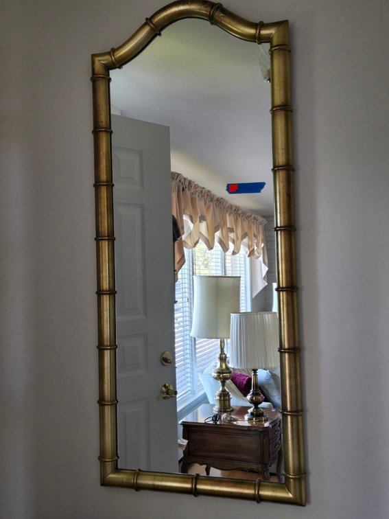 Gold Framed Wall Mirror w/Bamboo-LR