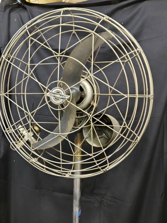 Standing Floor Fan-Light Rm