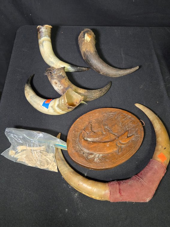 Box of Old Animal Horns-Well Rm