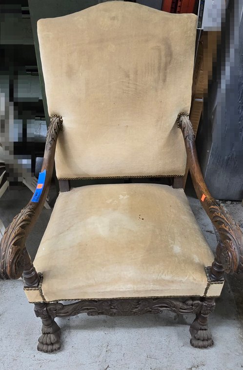 Velvet Arm Chair with Wooden Frame - Garage
