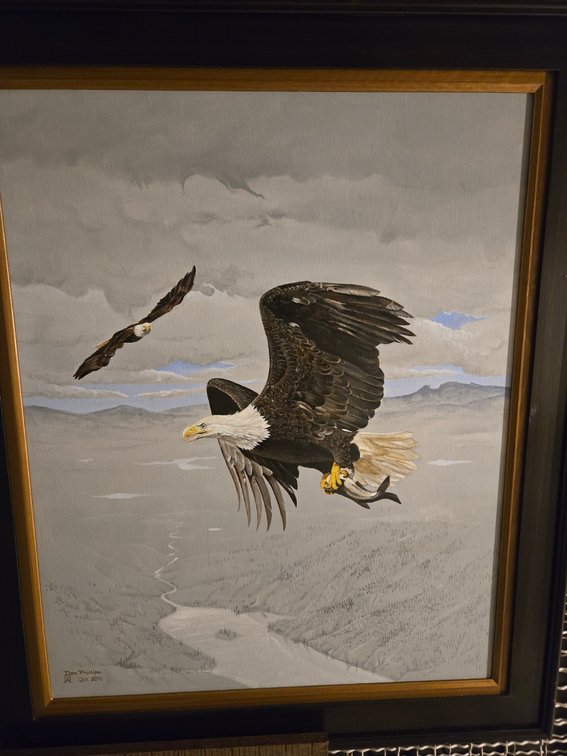 Don Phillips, "Bald Eagles"