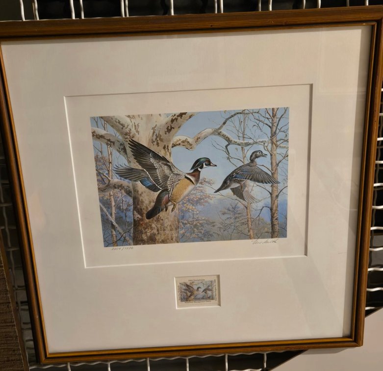 Ned Smith, 1st of state - Sycamore Creek Woodies - 1983 Waterfowl Management Stamp Print