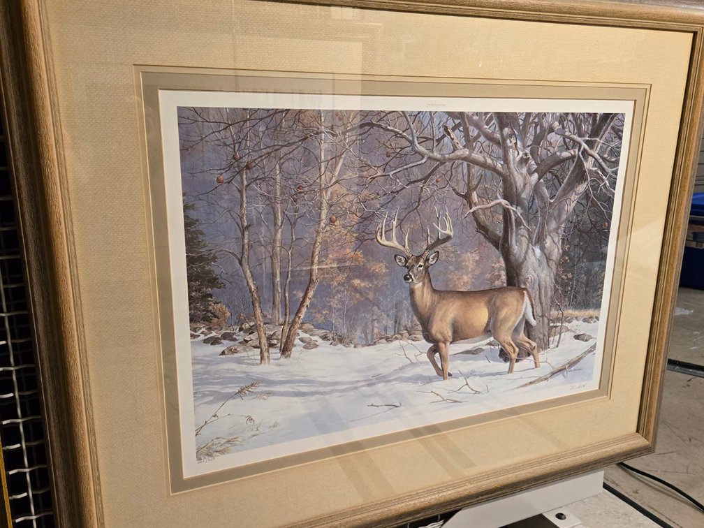 Ned Smith, "Old Orchard Buck"