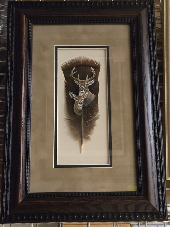Melissa Ball, "Whitetail Portrait"