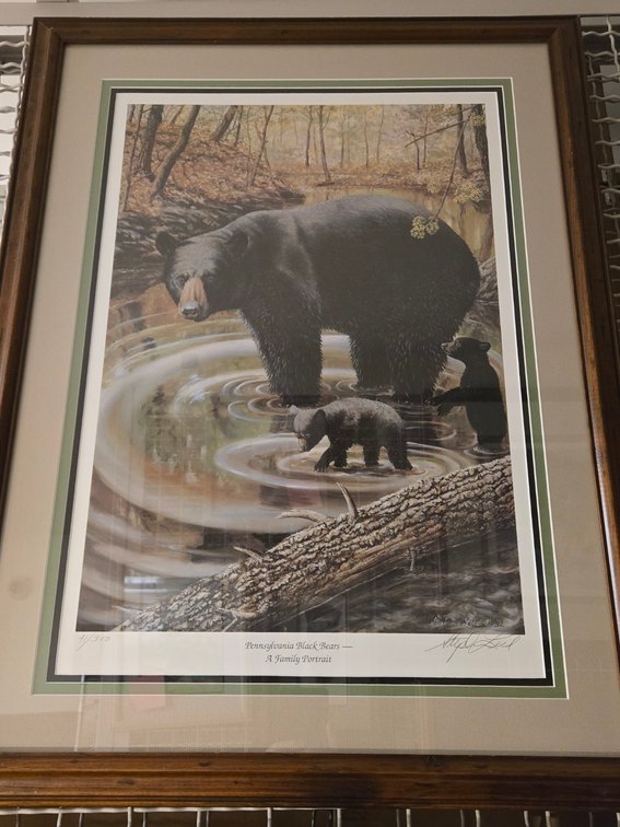 Stephen Leed, "PA Black Bear - A Family Portrait"